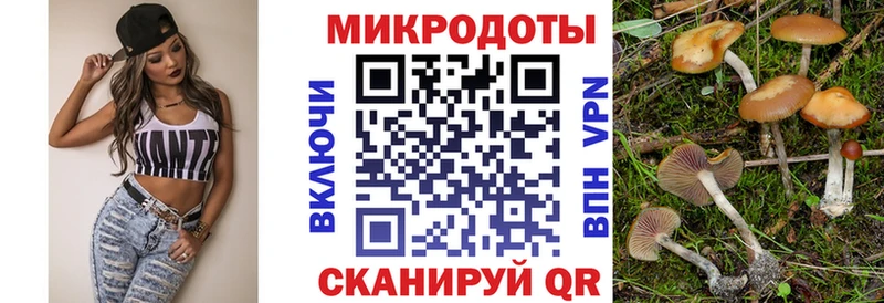 закладки  Хотьково  Галлюциногенные грибы Psilocybe 